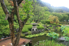 Gardens at Hase-dera