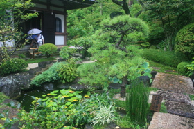 Japanese Garden at Hase-dera