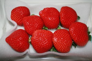 Japanese Gift Strawberries