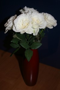 White Roses