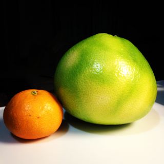 A Large Mikan and a Melogold Grapefruit
