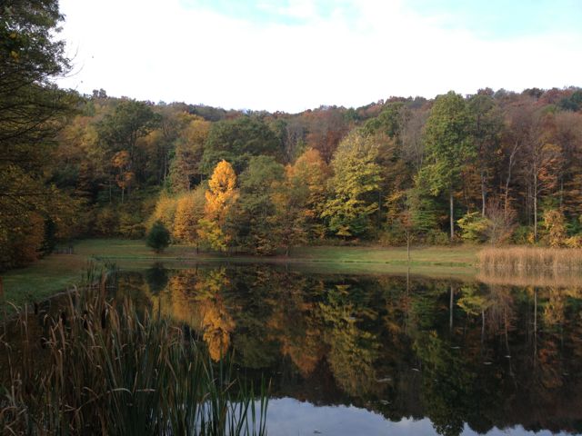 Laurel Highlands, early Saturday morning