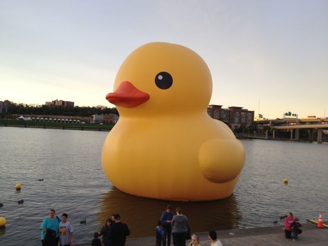 Giant Rubber Duck