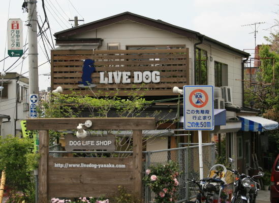 Live Dog